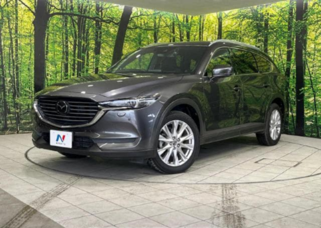 2018 Mazda CX-8 — photo 1